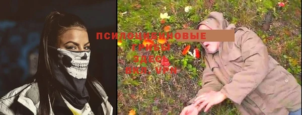 спиды Алексин