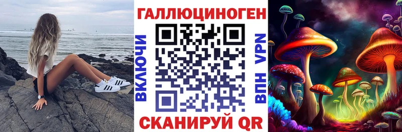 Галлюциногенные грибы Psilocybe Жуковский