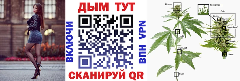 где продают наркотики  Жуковский  МАРИХУАНА OG Kush 
